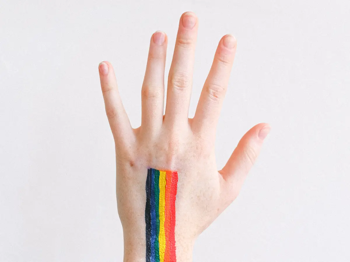 pexels-photo-4557391